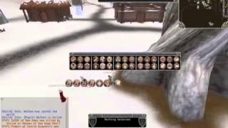Shadowbane Tutorial - Interface.