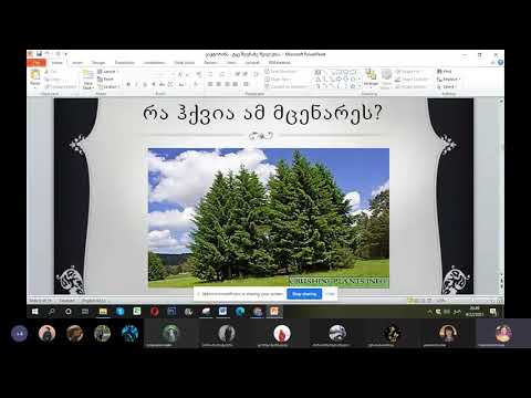 ტყის ვიქტორინა