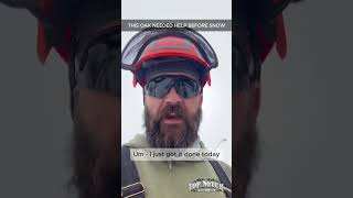 Carlisle Iowa Tree Safety Check