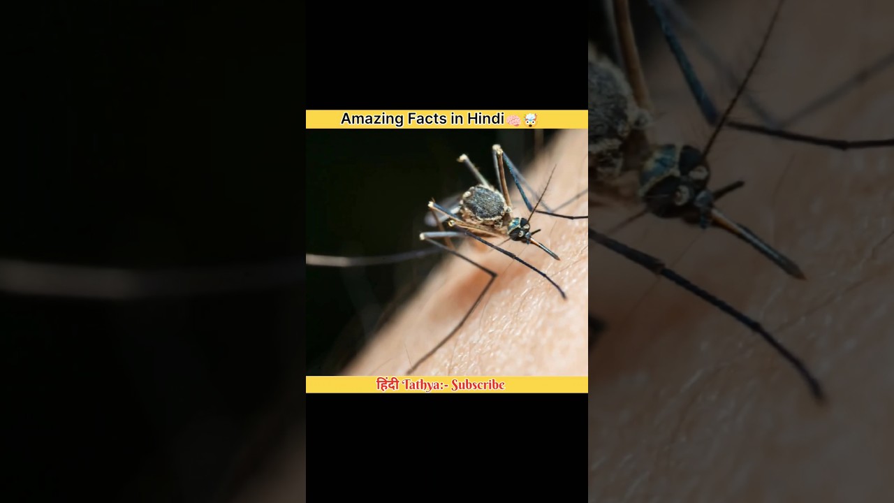 Amazing Facts in Hindi 😱😱 