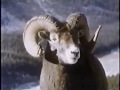 Capture de la vidéo John Denver / Day Of The Bighorn [1972]