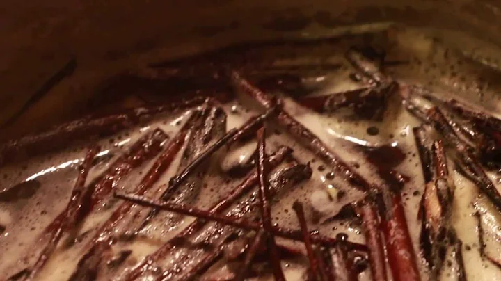 DAY3 Making Tej - Ethiopia's Honey Wine