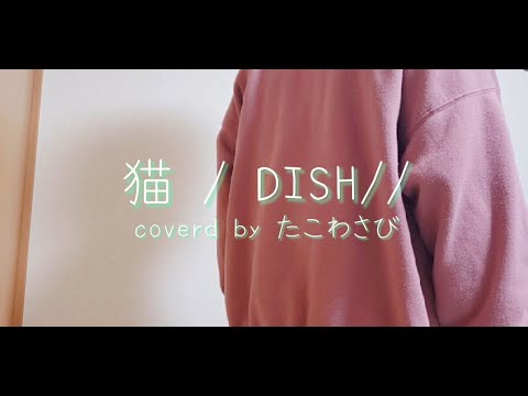 猫 / DISH// (北村匠海) 歌ってみた【たこわさび】