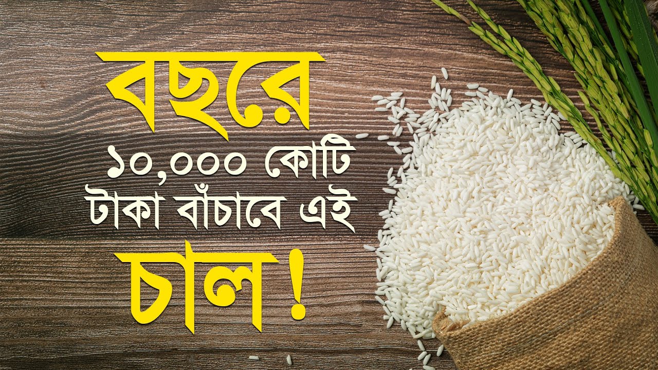 সিদ্ধ চাল নাকি আতপ চাল- কোনটা বেশি পুষ্টিকর? জানলে আপনি আজই খাওয়া শুরু করবেন! I Sunned Rice Benefits