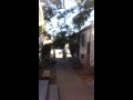 Jesse neighbor threat 2