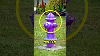 Fire hydrant colors explained in 30 seconds 🚒 #FireSafety #Education #Shorts