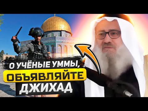 О учёные уммы, объявляйте джихад, помогите Палестине! Шейх Юсуф Махаризих