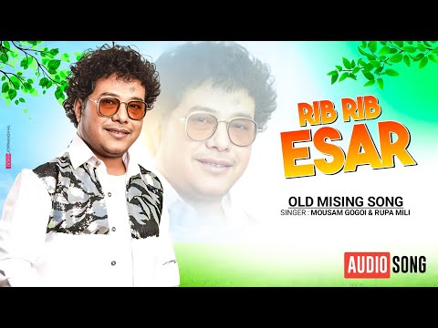 Rib Rib Esar (AUDIO SONG) | Mousam Gogoi | Barnali Kalita| Mising Oinitom Song