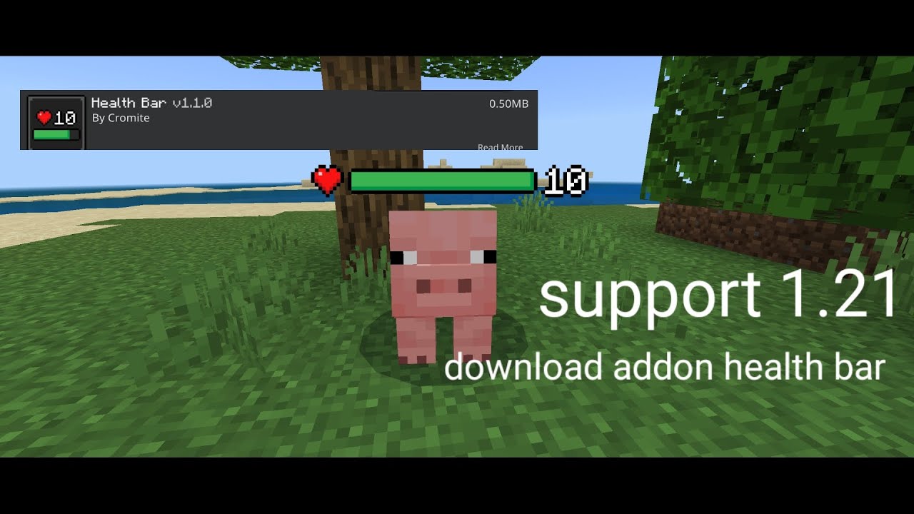 download addon health bar support 1.21 - YouTube