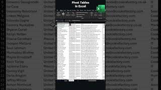 Turn Excel Data Into Insights in 30 Seconds! (Pivot Table Magic)
