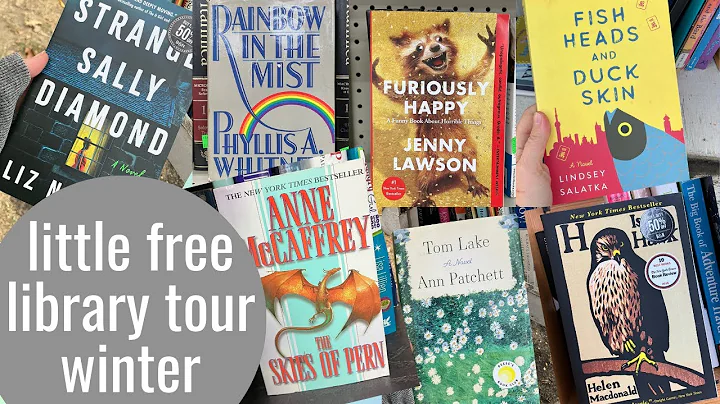 Little Free Library Tour - Winter 2024 | Chilly Winter Walks and Cute Little Libraries in New Jersey