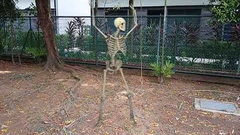 FxGuru Demo Video - Dancing Skeleton