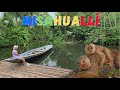 Un PARAÍSO en el AMAZONAS - Misahuallí 🐒 / Josué y Eli