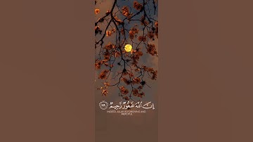 واستغفروا الله إن الله غفورٌ رحيم/سورة البقرة/قارئ الشيخ #ناصر_القطامي #قرآن