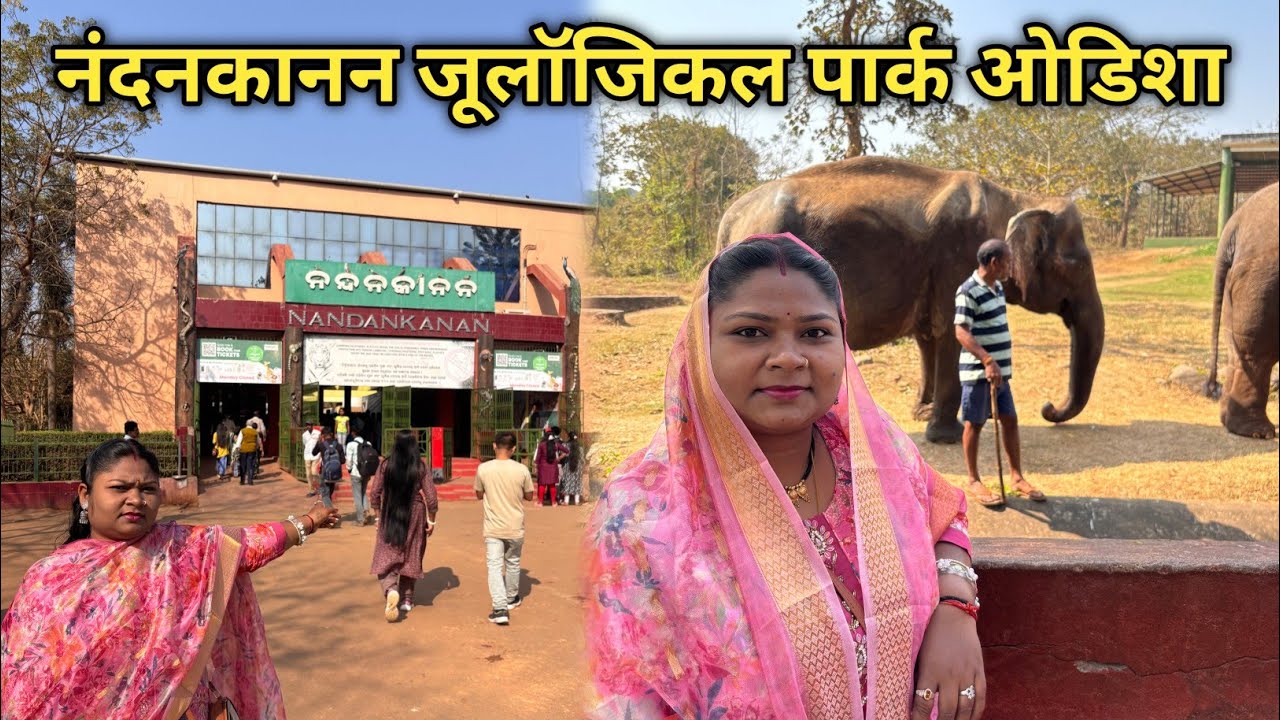 नंदन कानन जूलॉजिकल पार्क भुवनेश्वर उड़ीसा भारत का पहला चिड़ियाघर जहां व्हाइट टाइगर प्रजनन होता है