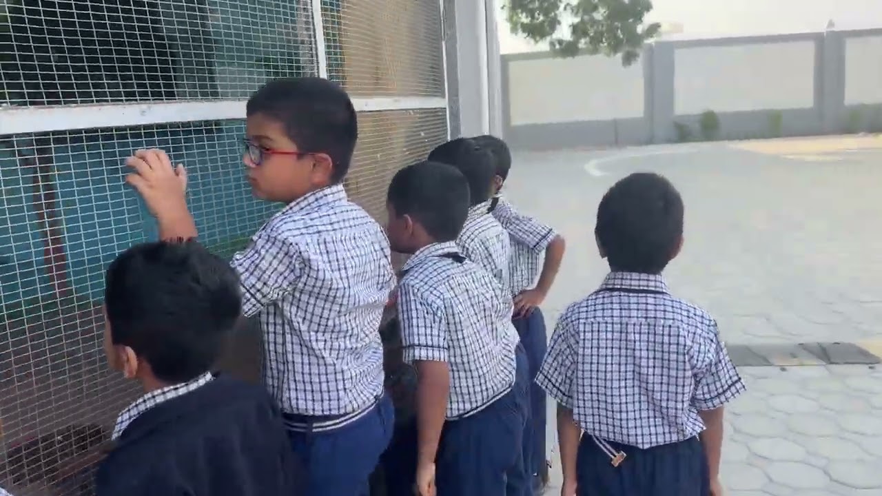 Kids watching birds in our school