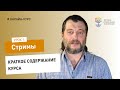 Как сделать стрим #1: обзор курса