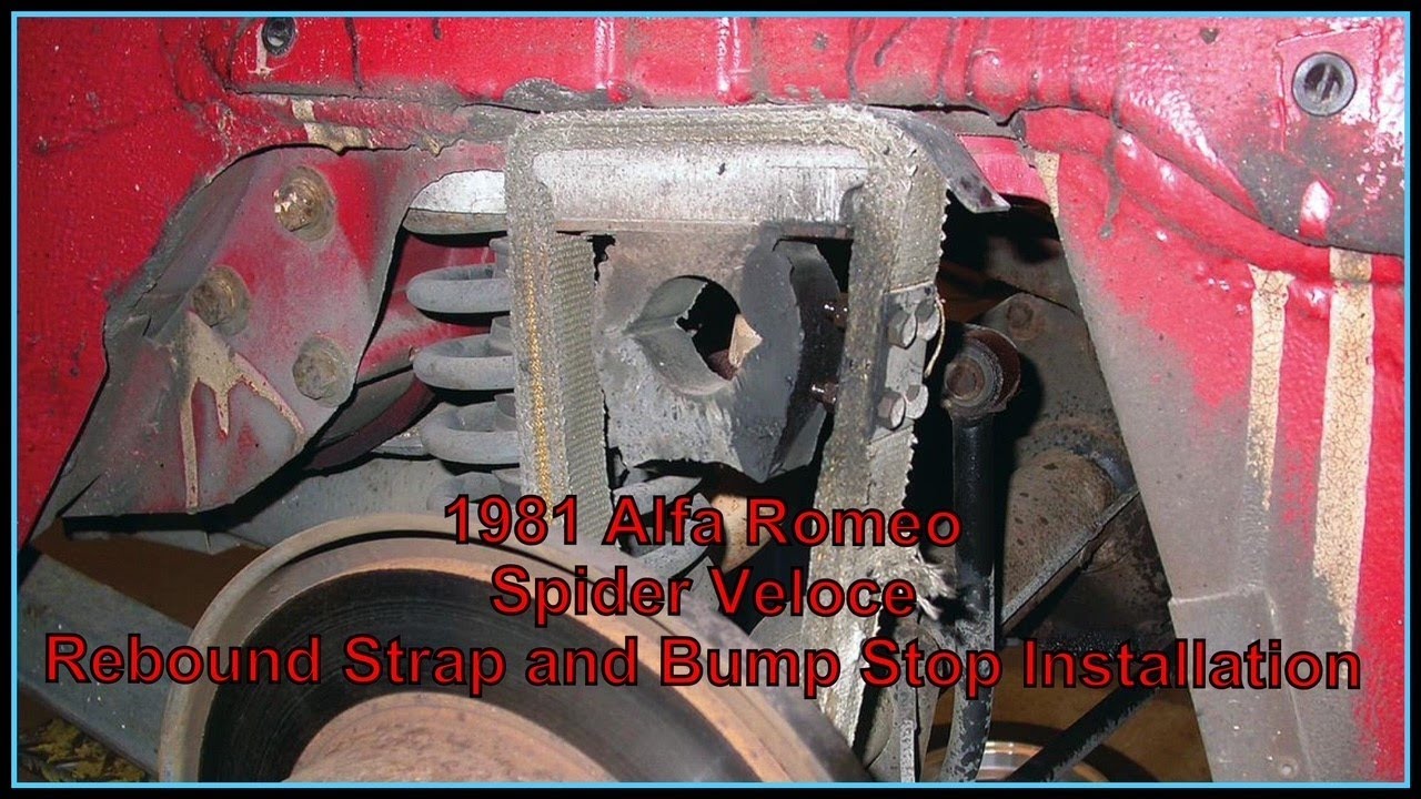 1981 Alfa Romeo Spider Veloce, Rear Axle Rebound Strap and Bump Stop