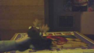 webkinz dance off you choose the winner