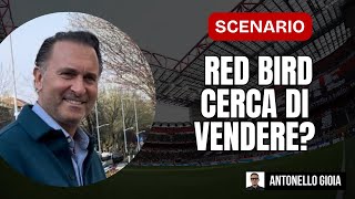 Voci Forti Sulla Cessione Del Milan Cosa Sta Facendo Redbird La Verità