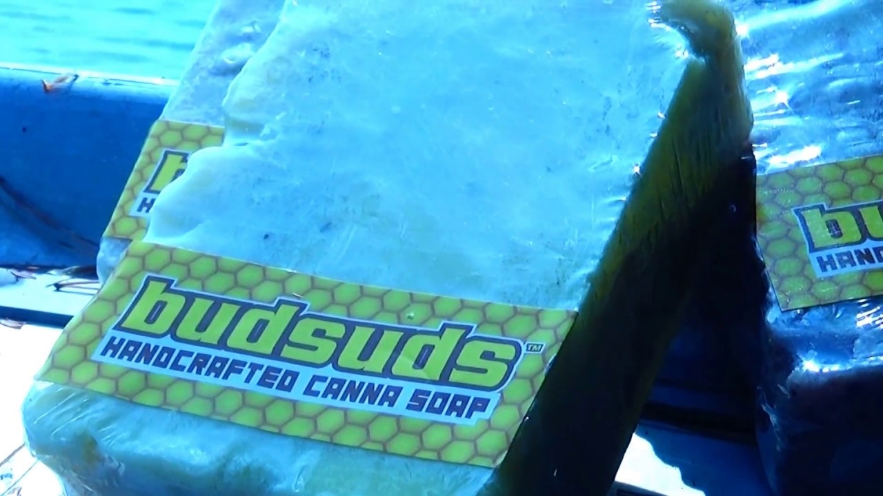 High Beautiful Bud Suds YouTube