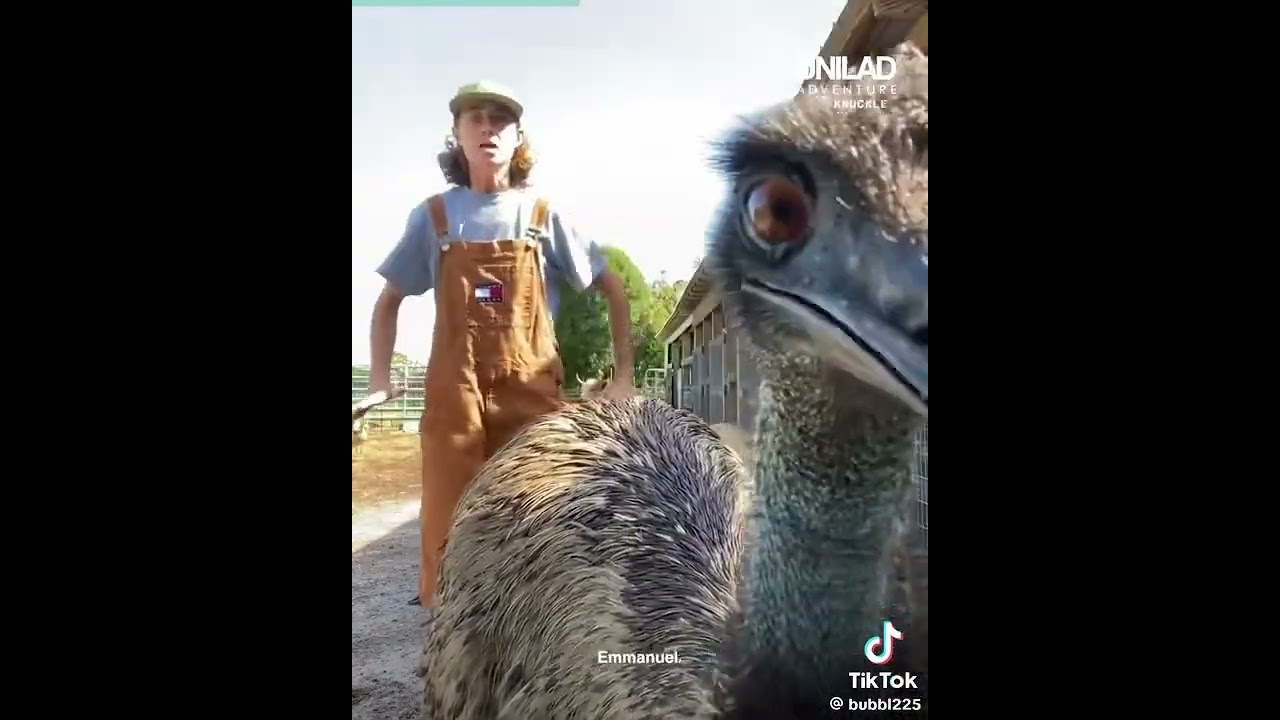 EMMANUEL CHOSE VIOLENCE!! 😂 #funnyvideo