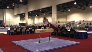Robert Neff - Pommel Horse - 2016 Winter Cup Prelims