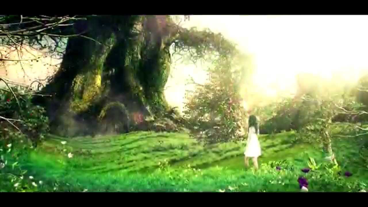 The Oddword - Rise Up (Sunrise Festival Anthem 2014)