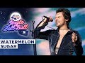 Harry Styles - Watermelon Sugar (Live at Capital's Jingle Bell Ball 2019) | Capital