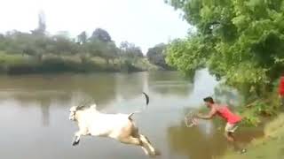 ٧ يونيو ٢٠٢١