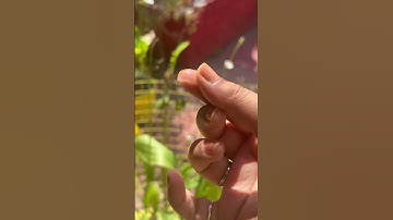 Don’t ❌❌stop using vaseline💋use it daily at night😍#shorts #koreanglasskin #vaselinepetroleumjelly