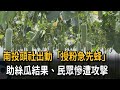 意外! 南投頭社出動「授粉急先蜂」 民眾慘遭攻擊-民視新聞