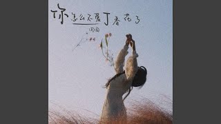 你怎么不爱丁香花了 (伴奏版)