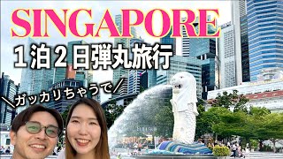 時間もお金も無い！でもシンガポールを思いっきり満喫したい夫婦Vlog【世界一周Lv.59】