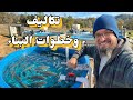 خطوات بناء حوض السمك المكثف من البداية الى النهاية مع ذكر التكاليف و طريقة العمل 295 