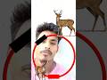 बिछड़े हुए हिरण के बच्चे को उसकी माँ तक पहुंचाए #hiran #animals #puzzlechallenge#puzzle #game#puzzle
