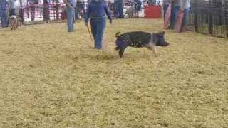 Adams County Fair Day 3 (7-20-10)
