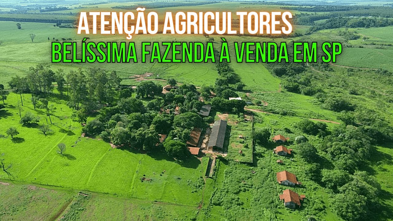 FAZENDA À VENDA PRÓXIMA DE ARARAQUARA SP | É O MELHOR INVESTIMENTO