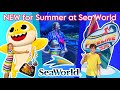 Can’t Miss Summer Fun at SeaWorld • NEW SHOW New Snacks • Animal Encounters #seaworld #babyshark
