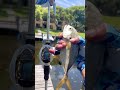 That hook set tho! #urbanfloridafishing #shortsfeed #fishingvideos #southfloridafishing