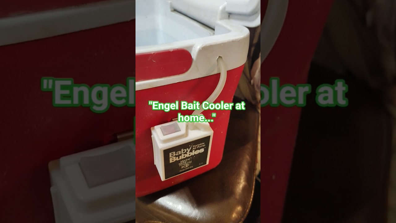 Самодельный холодильник для наживки. Просто. Легко. Недорого. 