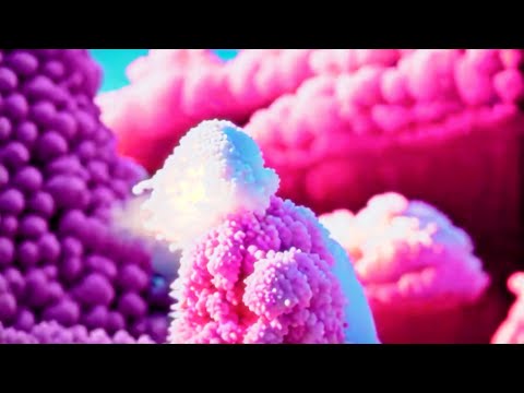 DIMANCHE - ?dme (Clip officiel)