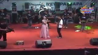 Story Wa New Pallapa 