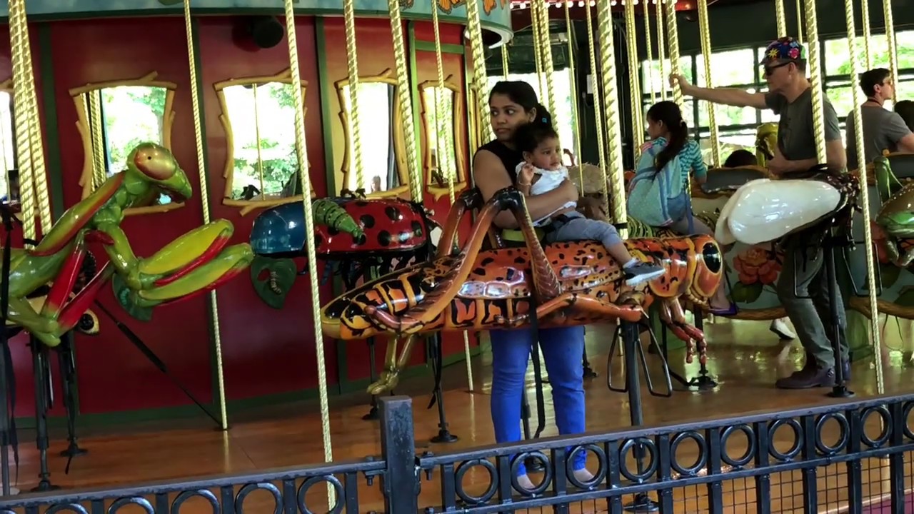 Kids riding at Bronx Zoo, NYC