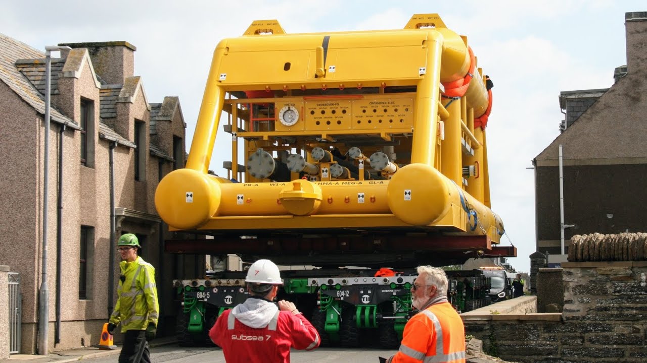 Towhead move through Wick 6/8/25