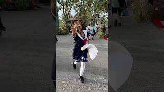 Welcome To Crooked Lane At Hhn 34 The Cat Ladys Is Waiting