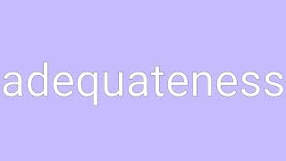 Adequateness Definition & Meaning