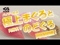 くら寿司CM 旬の極み 極上まぐろとのどぐろフェア