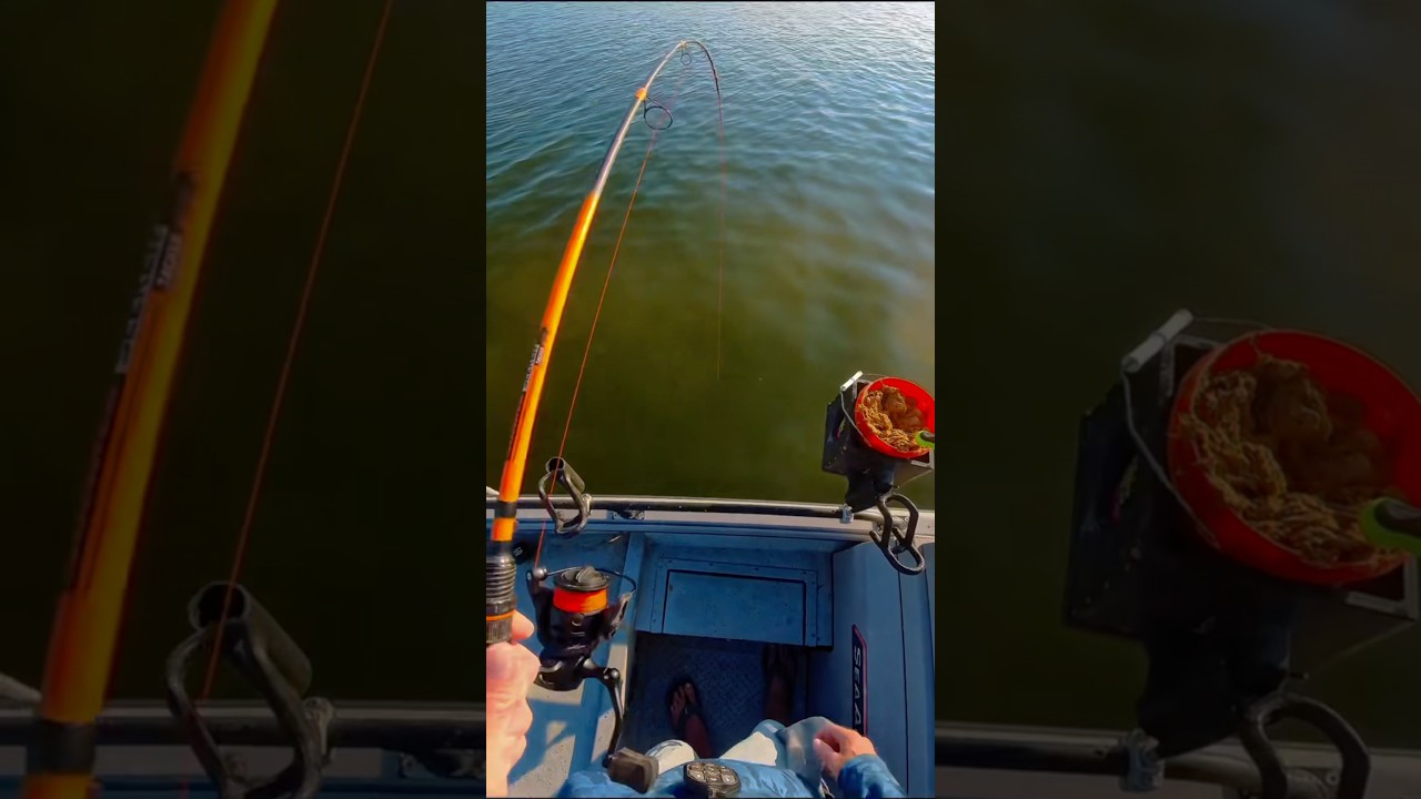 When You’re Running Wide Open, Your Gear Better Keep Up 