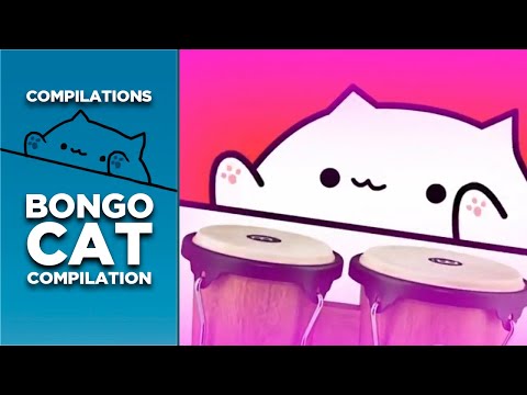 bongo-cat-meme-compilation-(37-songs)